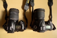 どこから見ても同じくらいのサイズですね