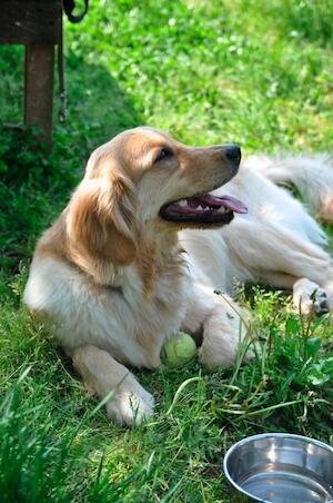 a-blog cmsで写真のスタイルを調整する