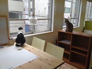 東京のコワーキングをまわってきました