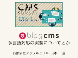 CMS SUNDAY VOL.2「CMSどやっカソン！」に参加してきました