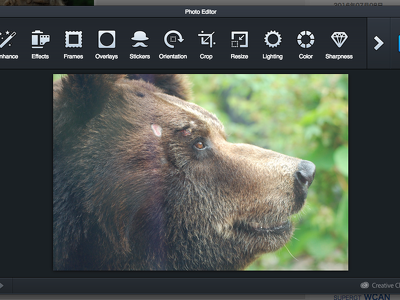 Adobe Creative SDK を a-blog cms に導入し PRODUCTION MODE で利用できるようにしてみた