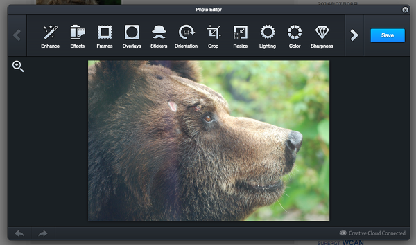 Adobe Creative SDK を a-blog cms に導入し PRODUCTION MODE で利用できるようにしてみた