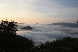 2018年のアップルップル社員旅行は北海道に