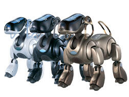AIBO その後。