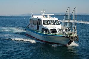 日間賀 の ふぐ で忘年会！