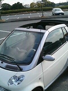 久しぶりに屋根をあける