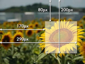 clip プロパティを使ってみよう！