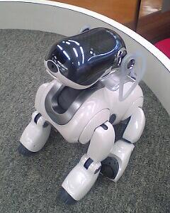 aibo ERS-7 探してます