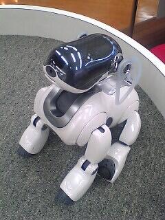 aibo ERS-7 探してます