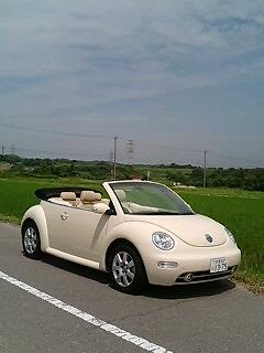 ニュービートル カブリオレ 来た！