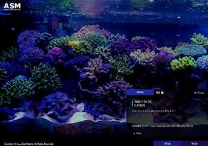 アクアサンマリンのサイトをリニューアル