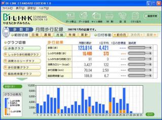 月間歩行記録