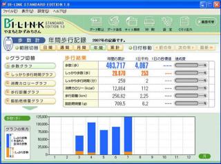 年間歩行記録