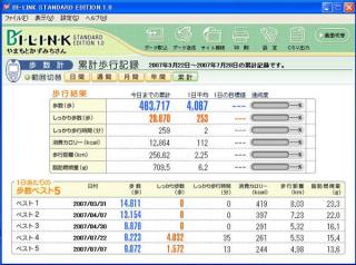 累計歩行記録
