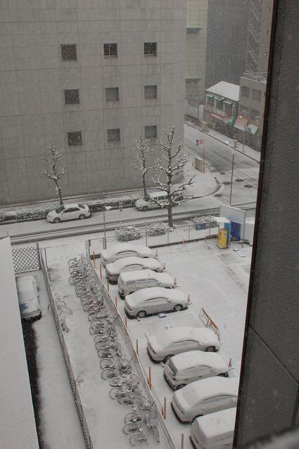 あ〜 雪だ！