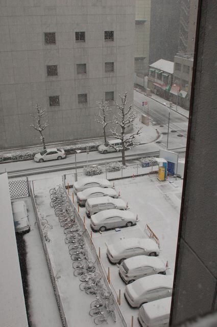 会社の非常階段より