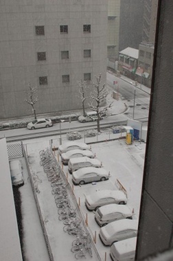 会社の非常階段より