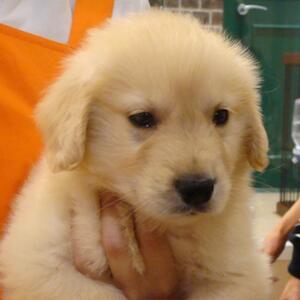 運命の出会いか！ 