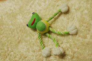 ルップル用の犬のおもちゃを通販で購入