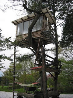 明日はWCAN:P（ダブキャンプ）