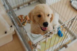 ルップルちゃん 5Kgを超えました