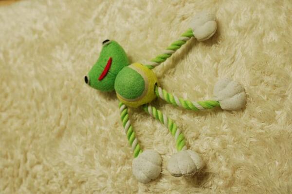 ルップル用の犬のおもちゃを通販で購入
