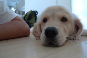 ルップル 6Kgを超えました