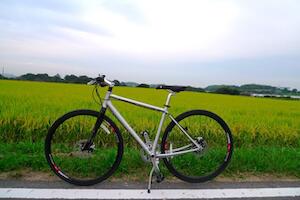 GIANT ESCAPE i R8 を買いました