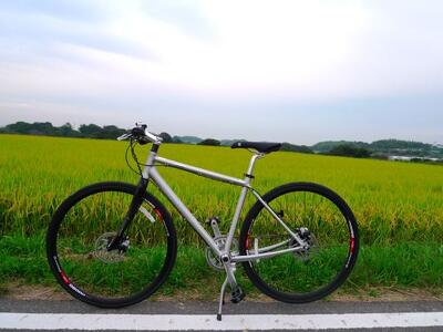 GIANT ESCAPE i R8 を買いました