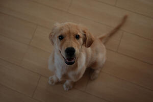 a-blogの画像アップで枠を消す事ができるように