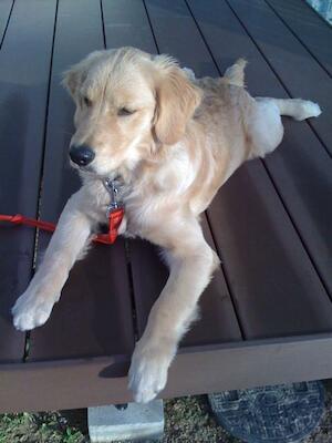 モブログのタイトルが長い場合にどうなるかってのはあまり気にした事がなかった！