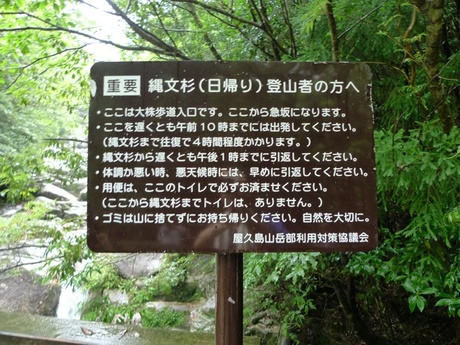 9時43分頃の写真です。なんとか10時までには！
